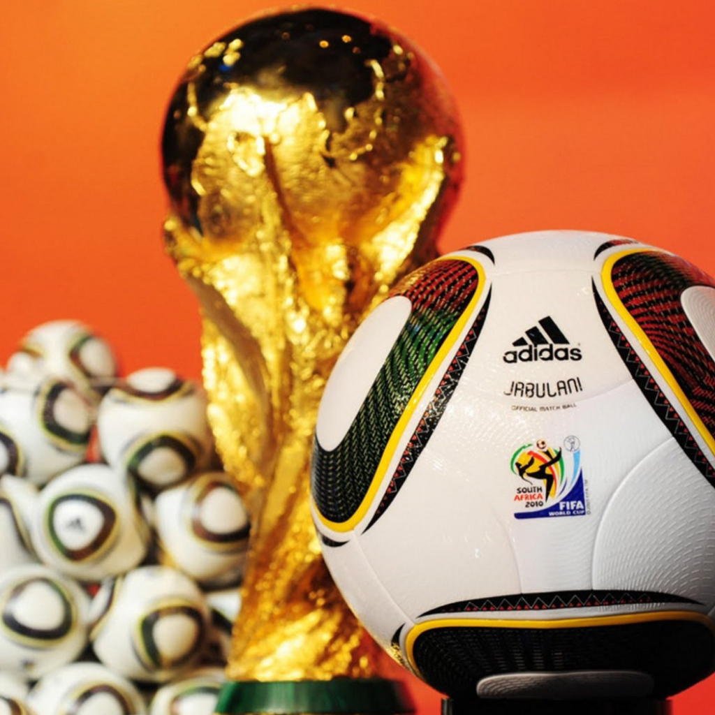Чемпионат мира по футболу 2010, ЮАР