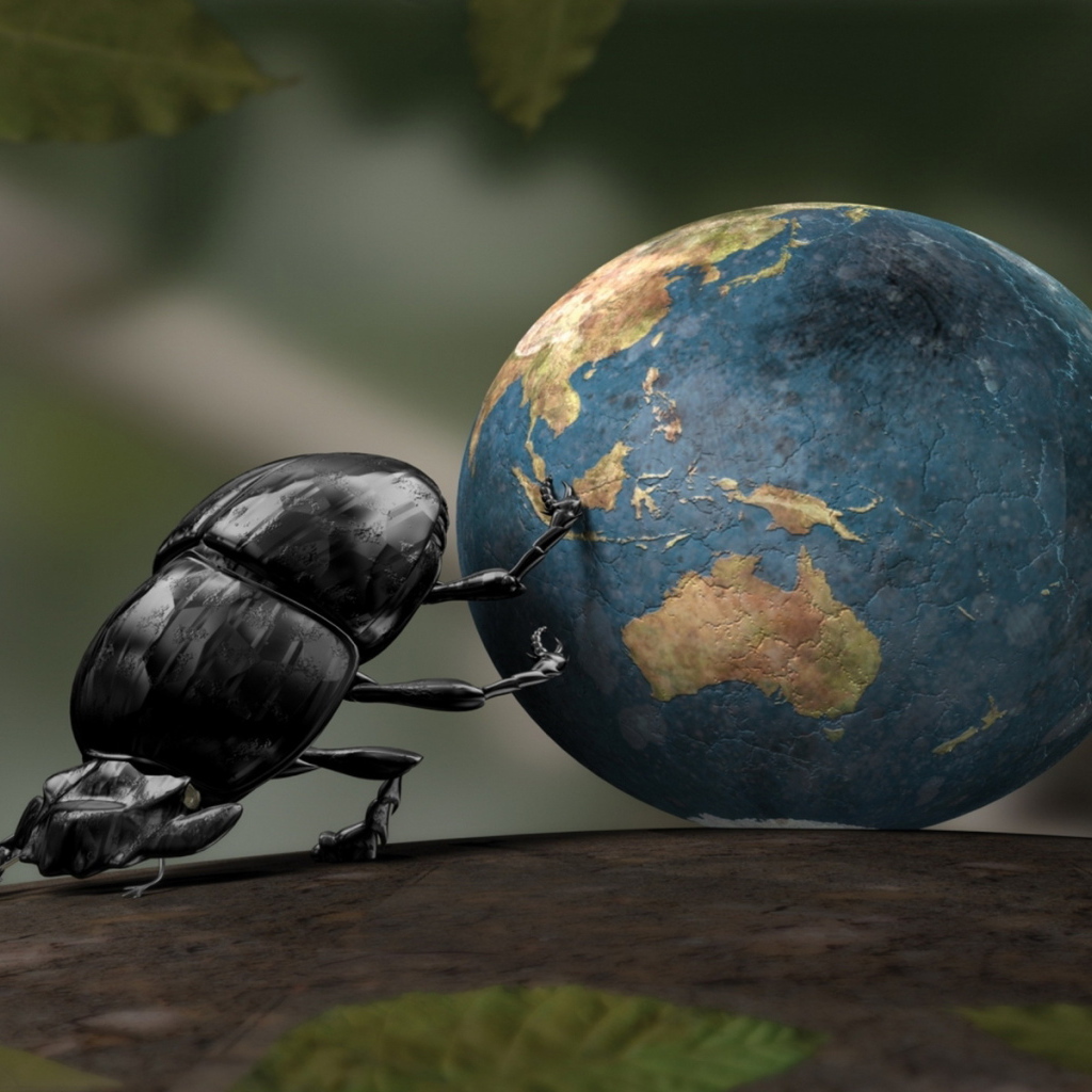 Bug Beetle