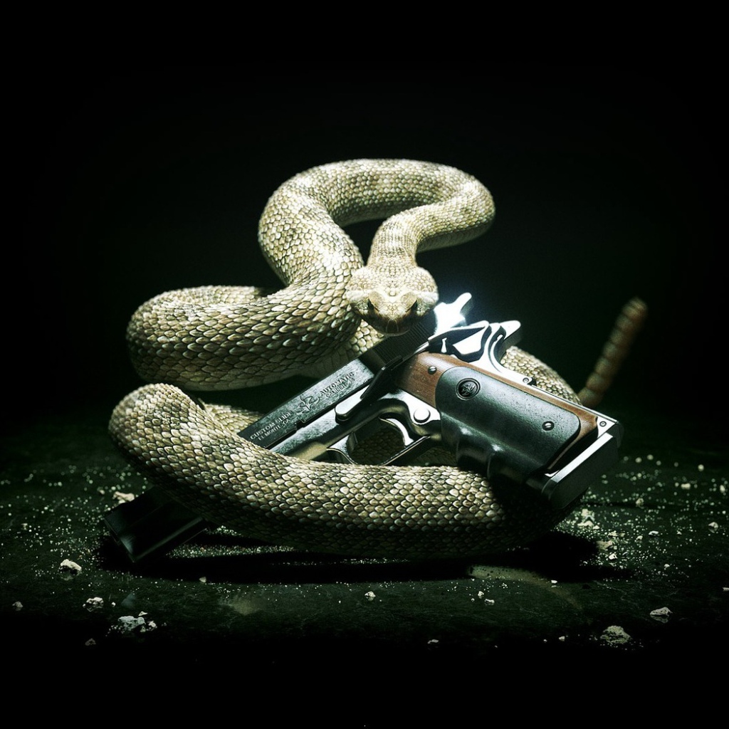 Змея и пистолет