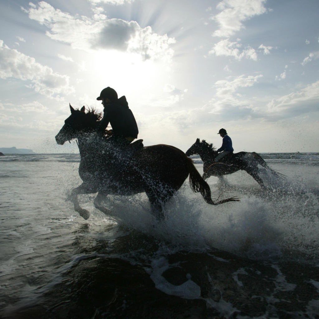 Лошади в воде