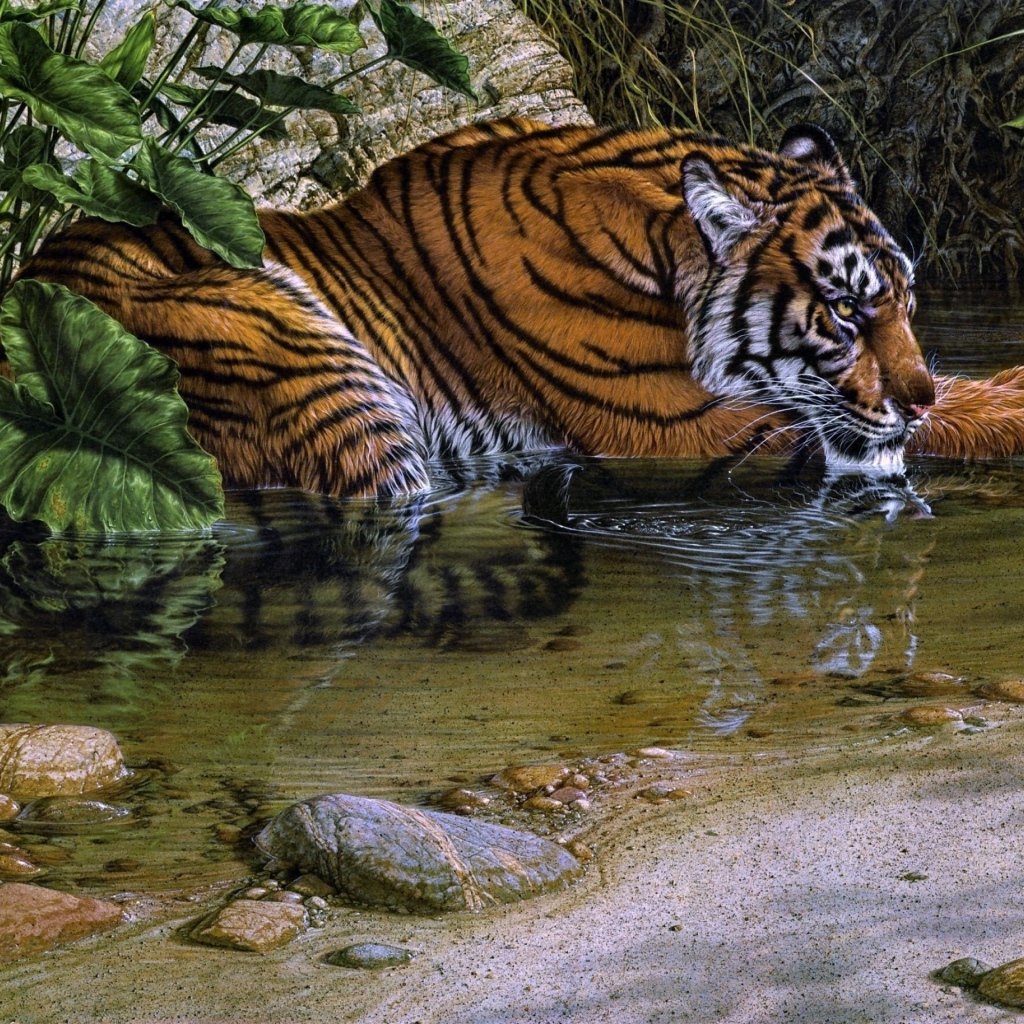 Тигр лежит у воды