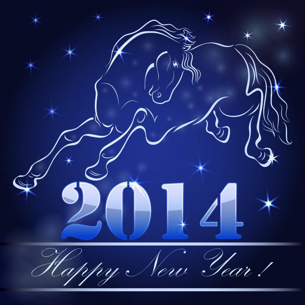Celebrating New Year 2014