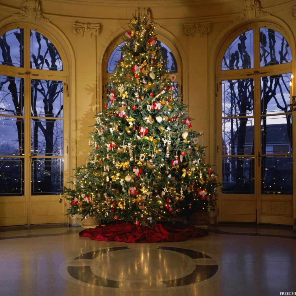 Новогодняя елка в кремле 2014