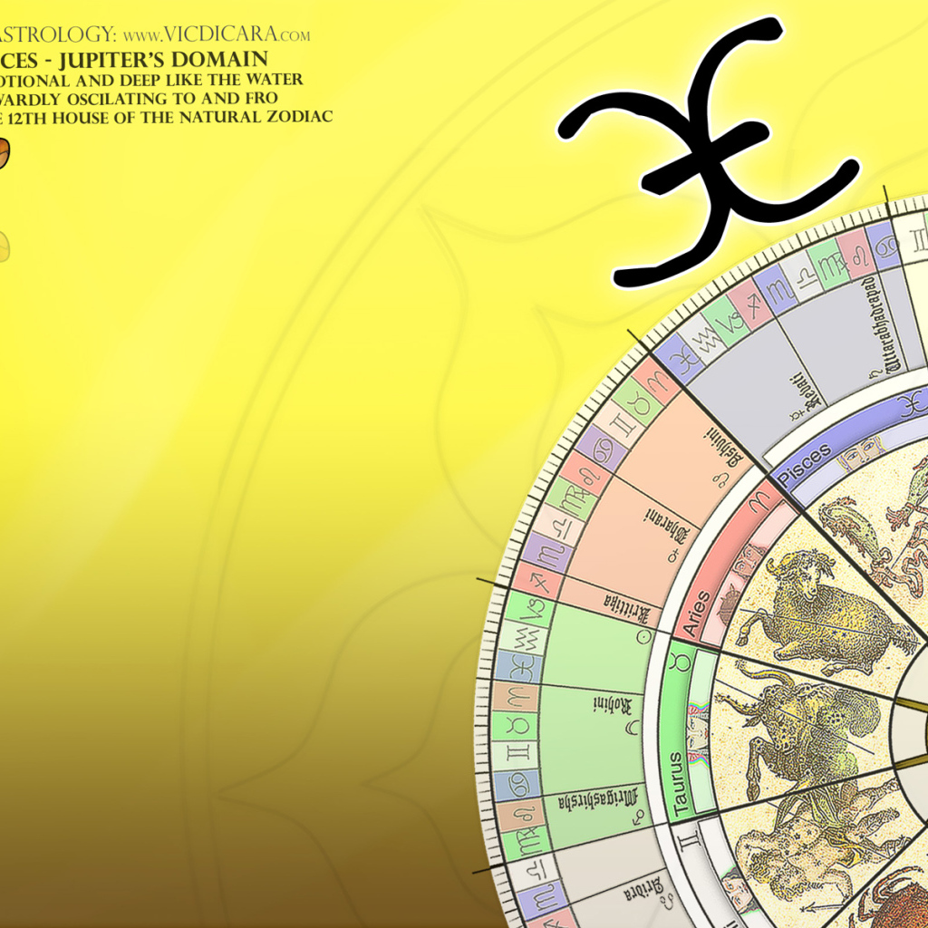 Signs of the zodiac on a yellow background