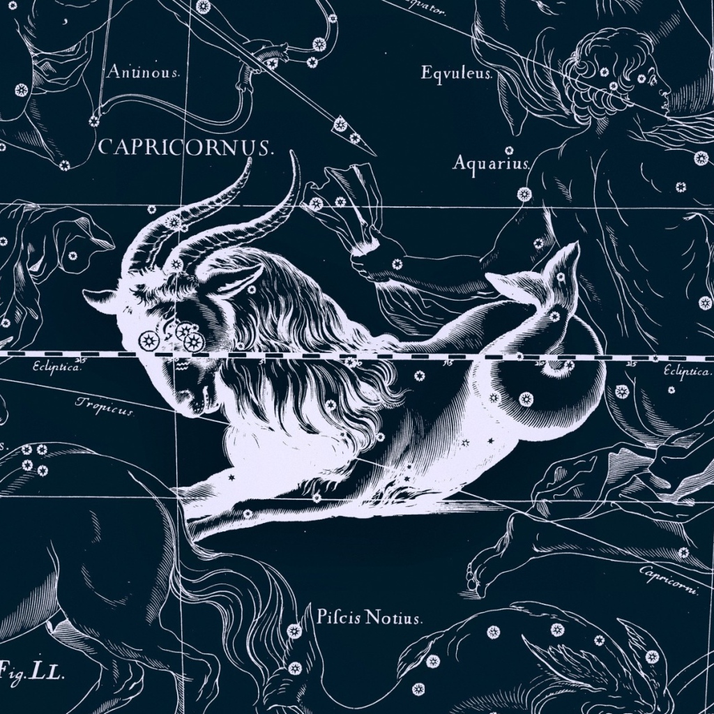 Карта звездного неба, козерог