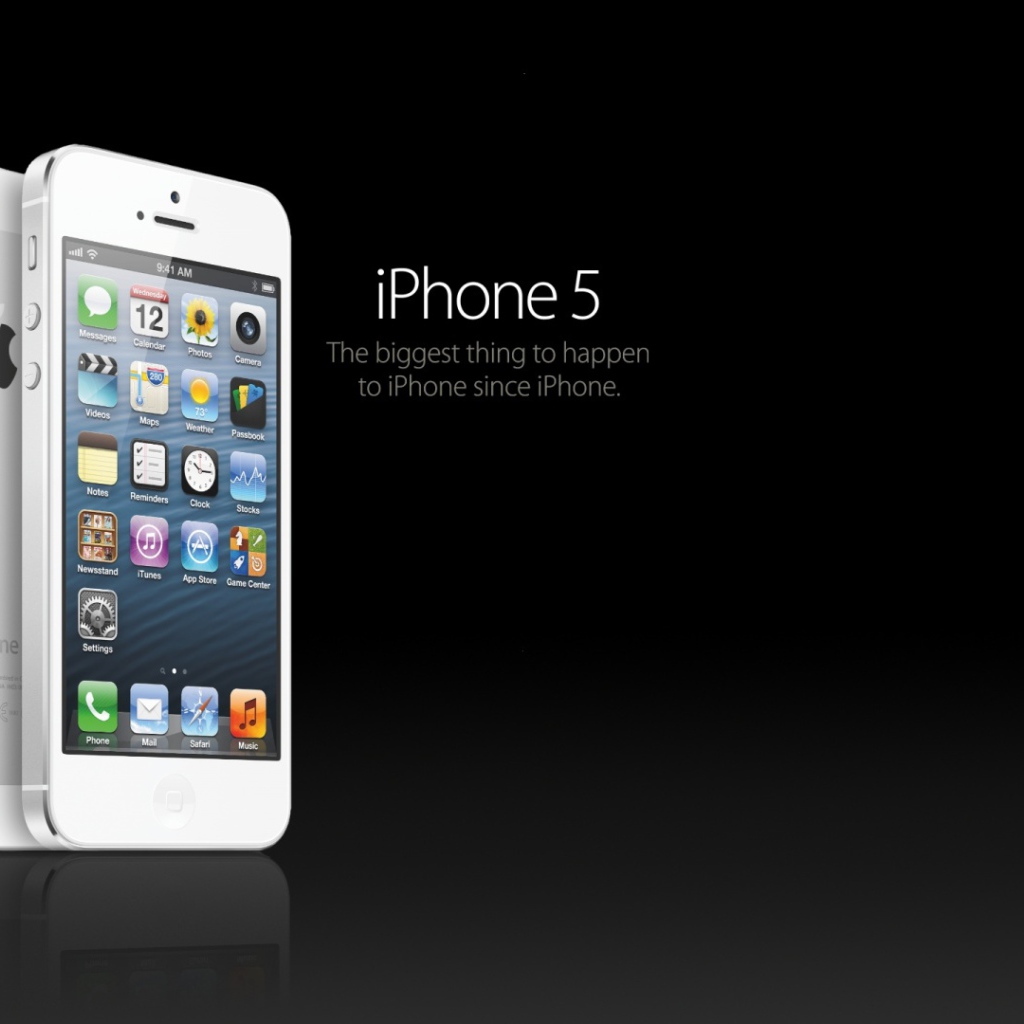 Iphone 5S белый в черном