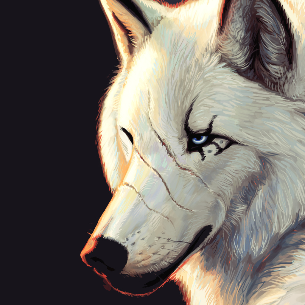 Белый волк со шрамами