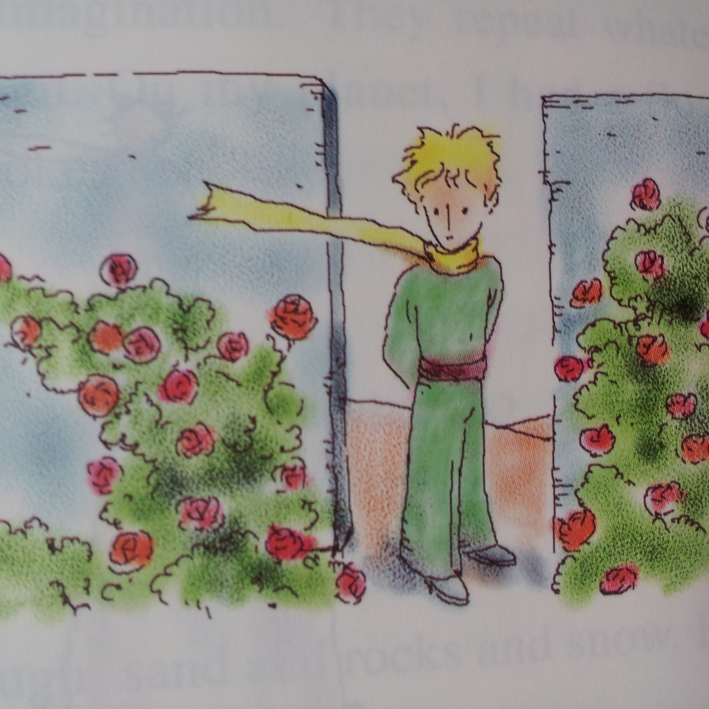 Книга о приключениях маленького принца