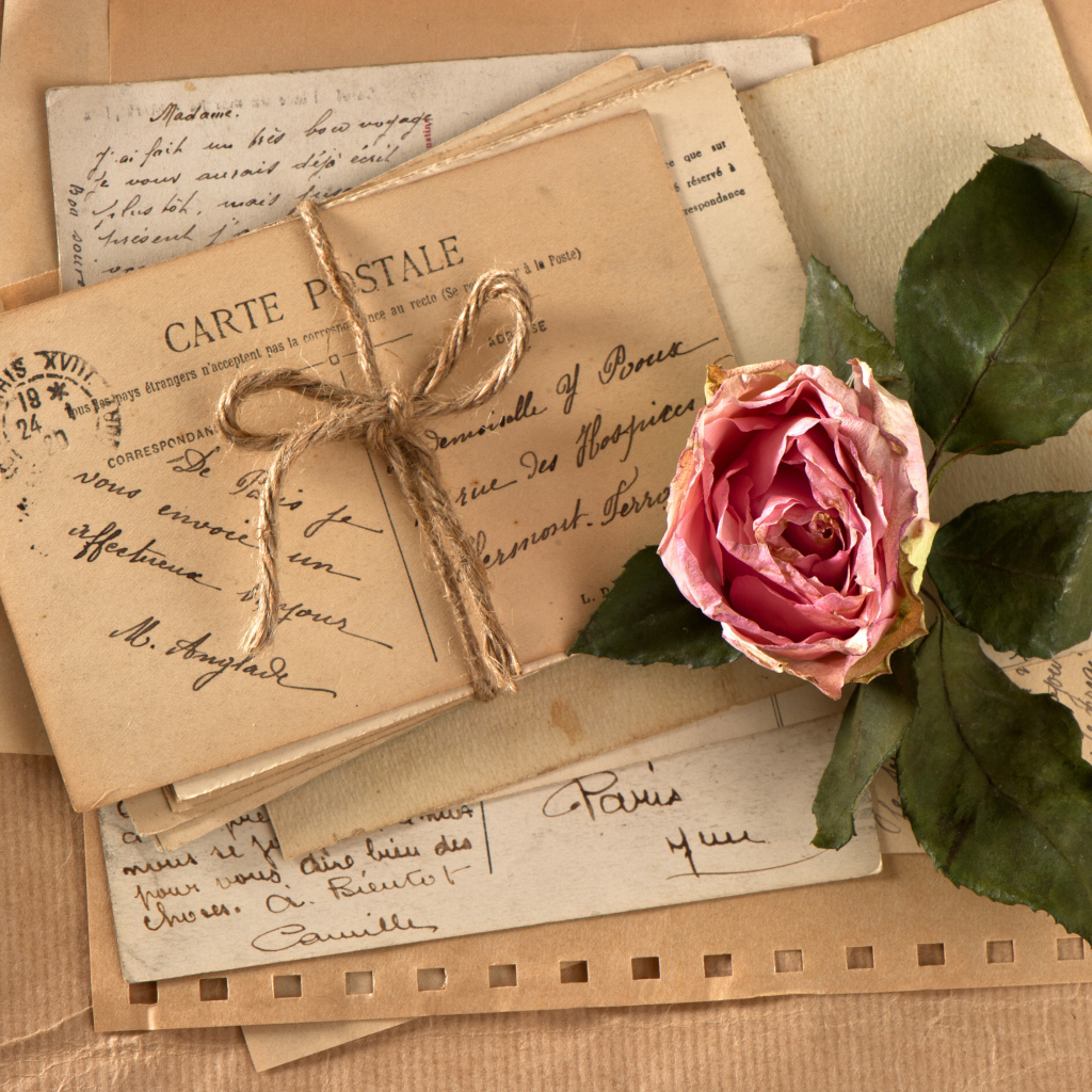 Засохшая роза на старой открытке