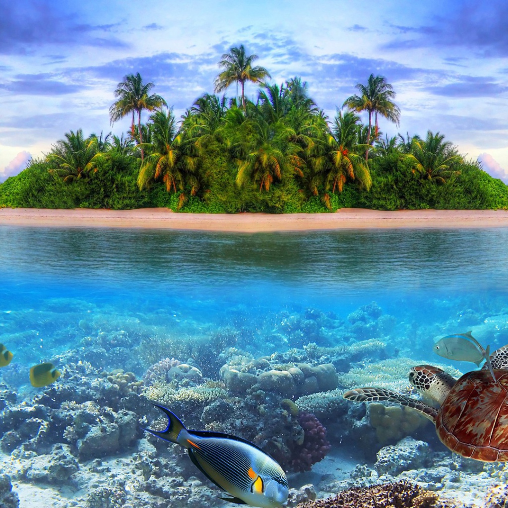 Подводный мир на острове