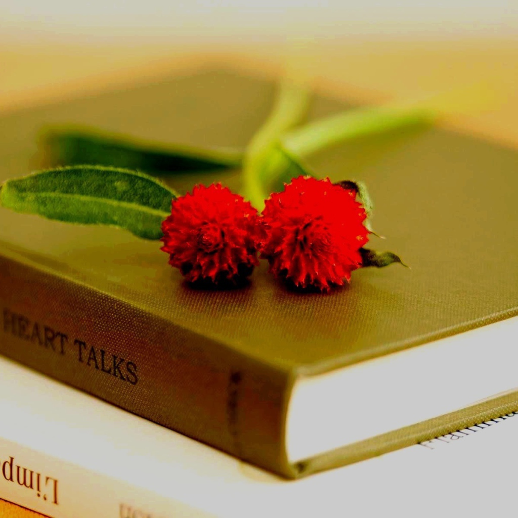 Два красных цветка на книгах