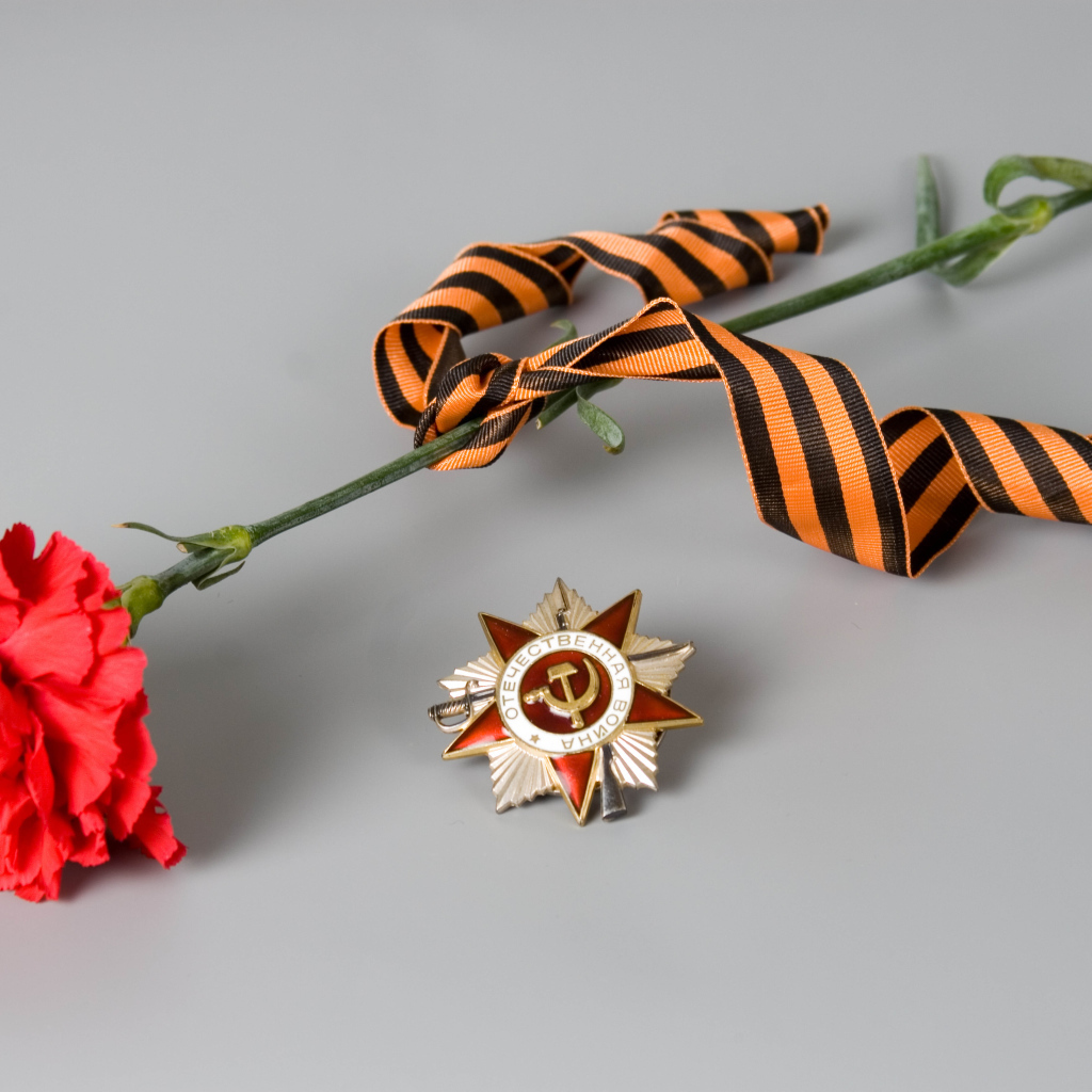 Carnation and the Order of the Victory Day May 9