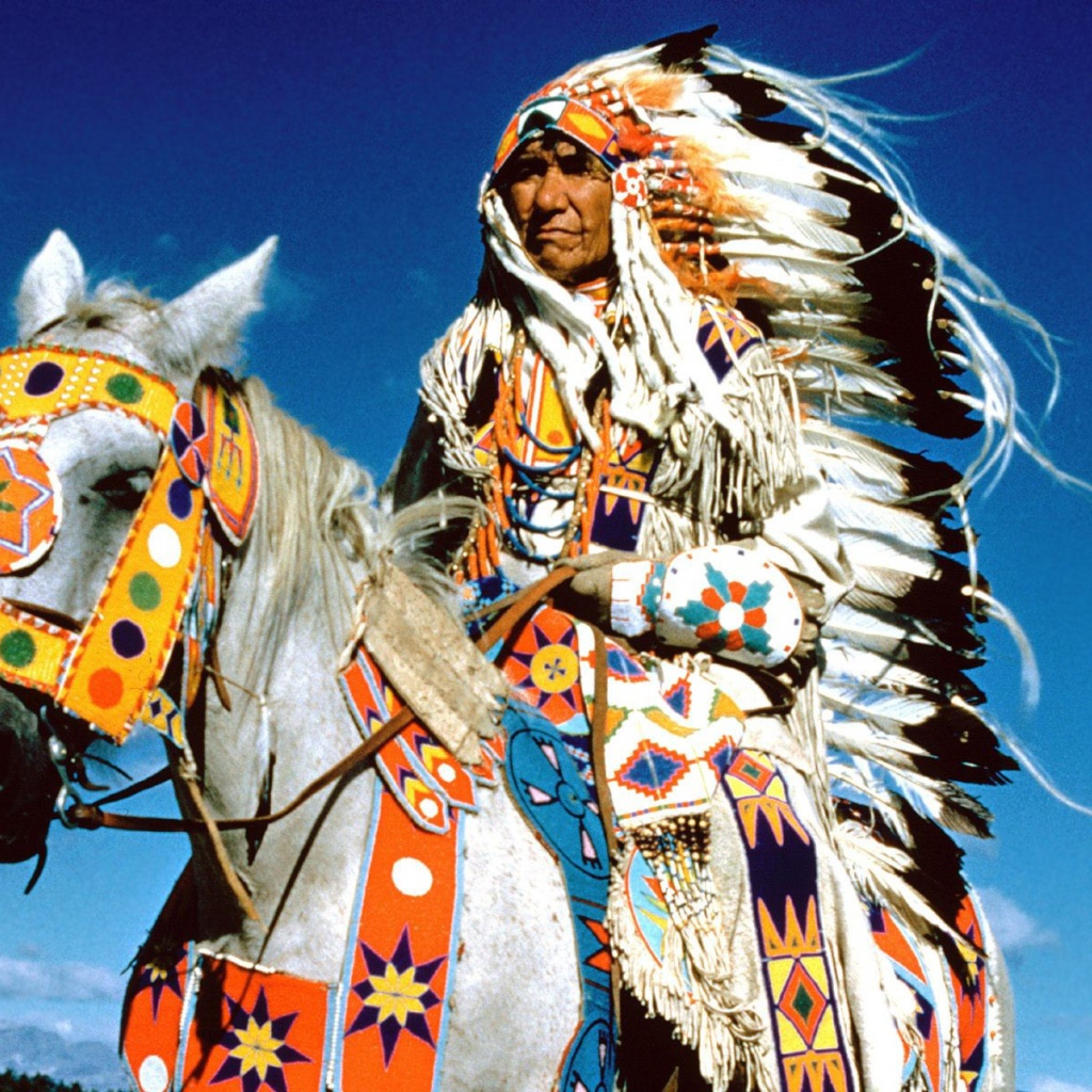 Вождь племени индейцев