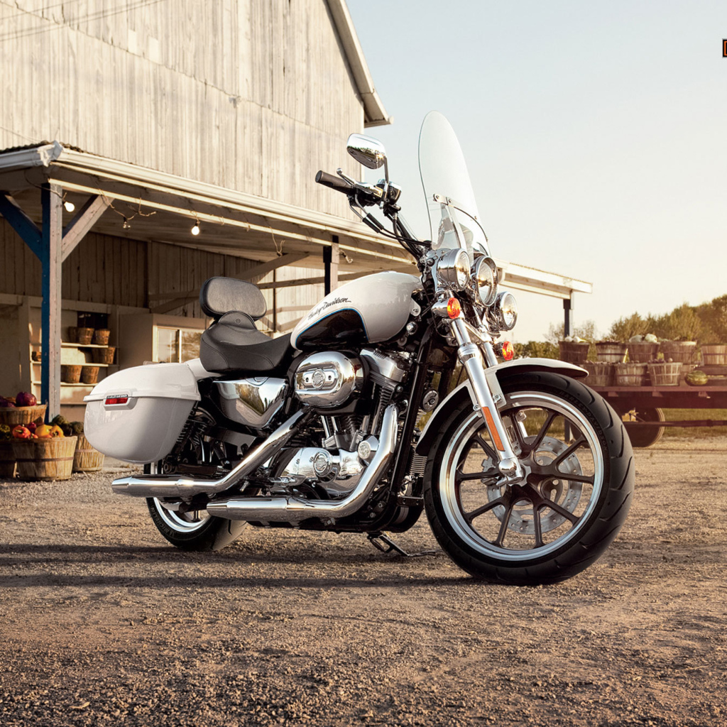 Новый мотоцикл на дороге Harley-Davidson XL 883L Sportster