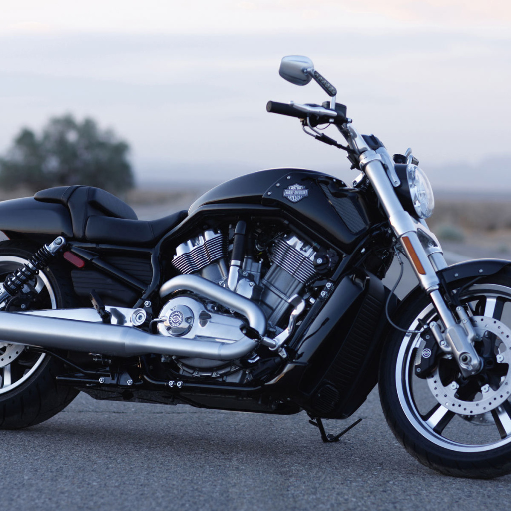 Популярный мотоцикл Harley-Davidson V-Rod Muscle