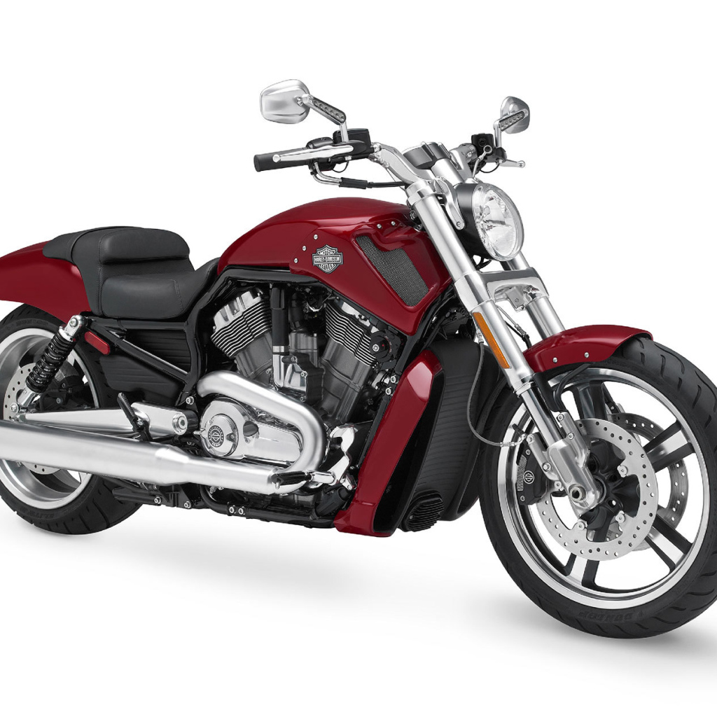 Надежный мотоцикл Harley-Davidson V-Rod Muscle