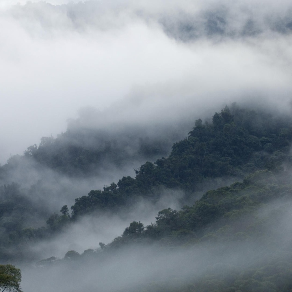 Эквадорские туманы в горах