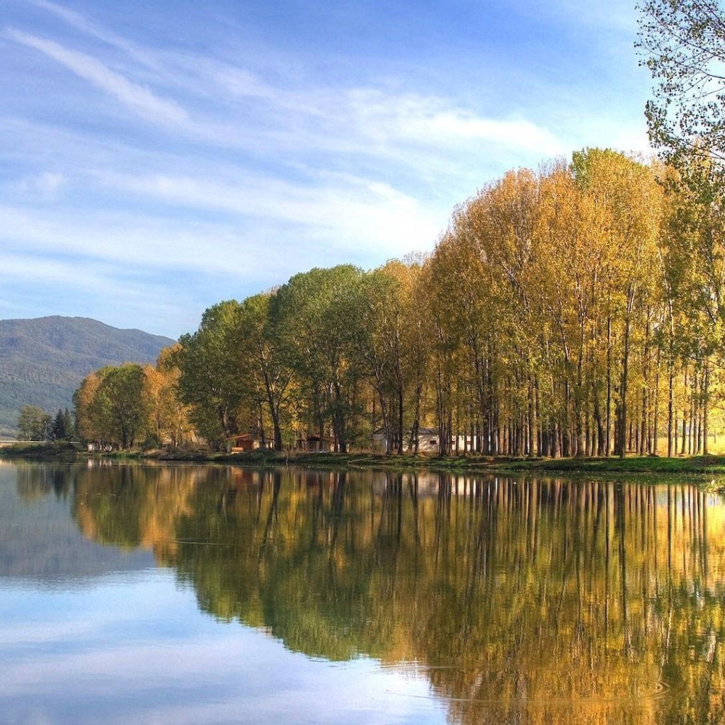 Осенний лес на берегу озера
