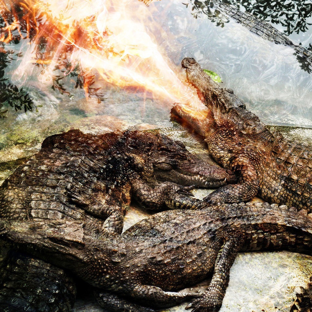 Крокодил изрыгает огонь