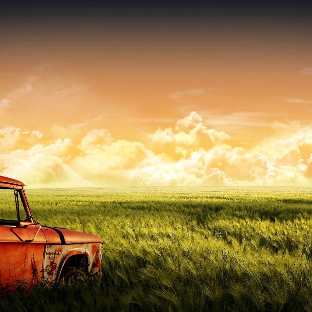 Старый автомобиль на зеленом поле