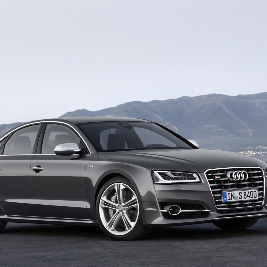 Gray Audi family on a background of mountains