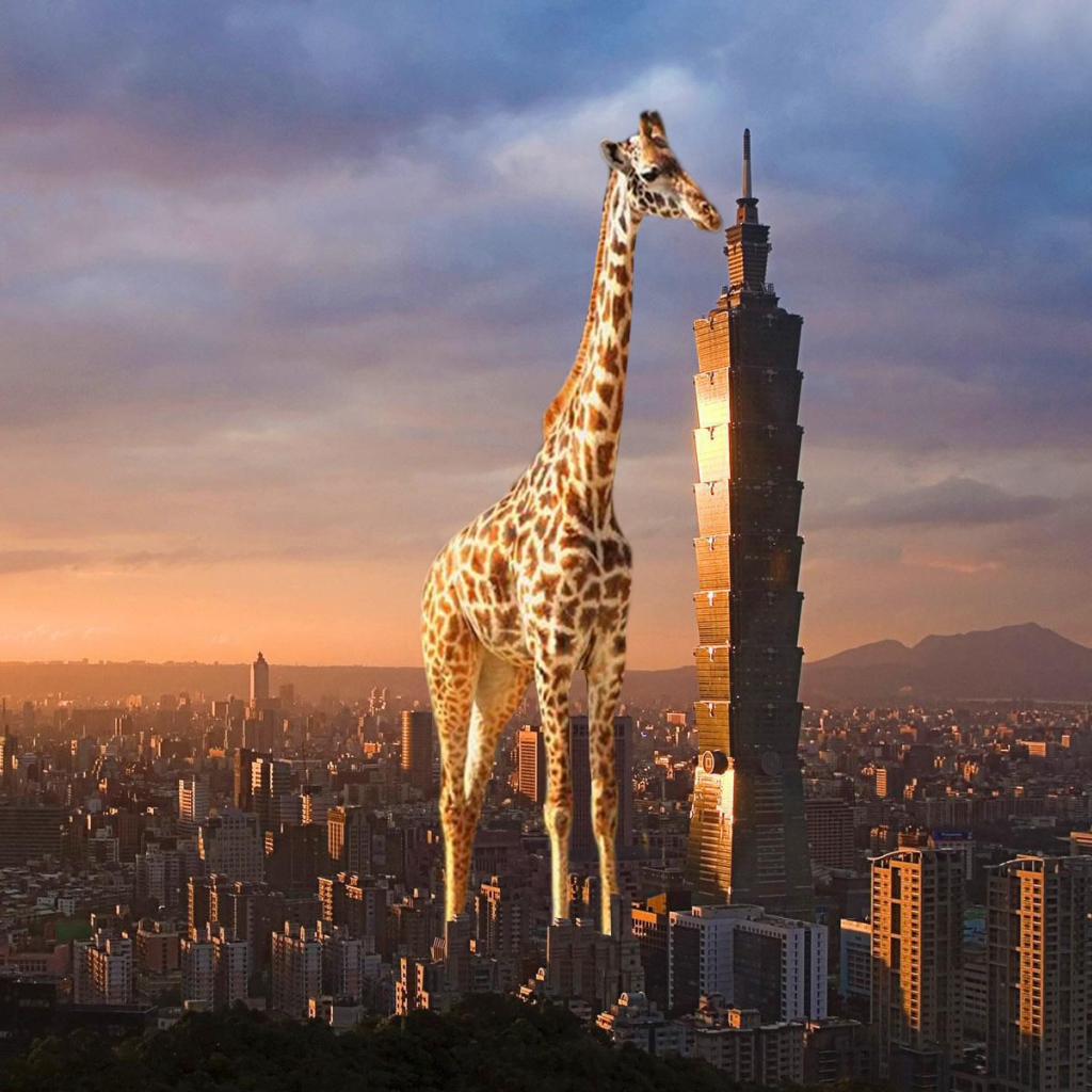 Жираф выше небоскреба