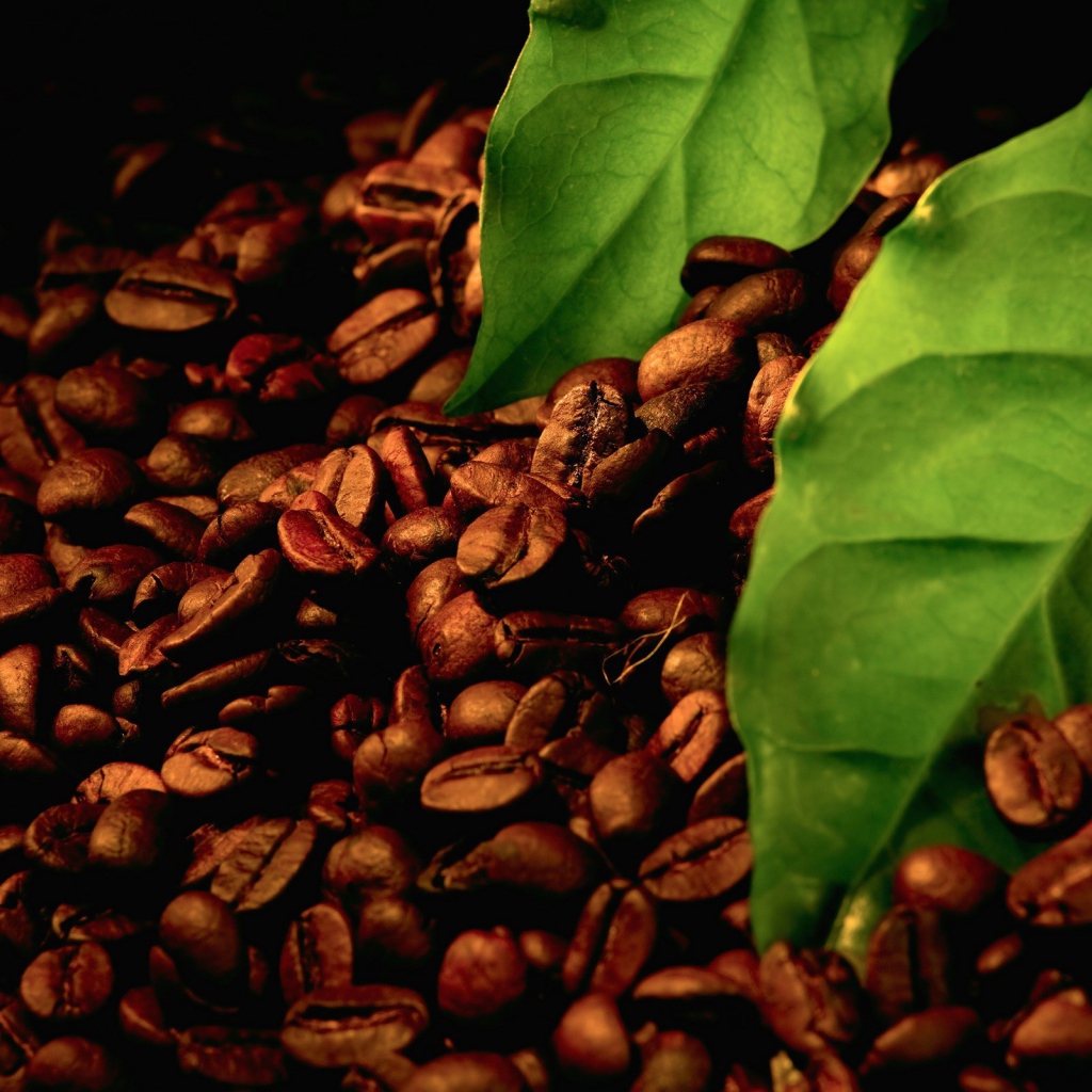 Листья на зернах свежего кофе
