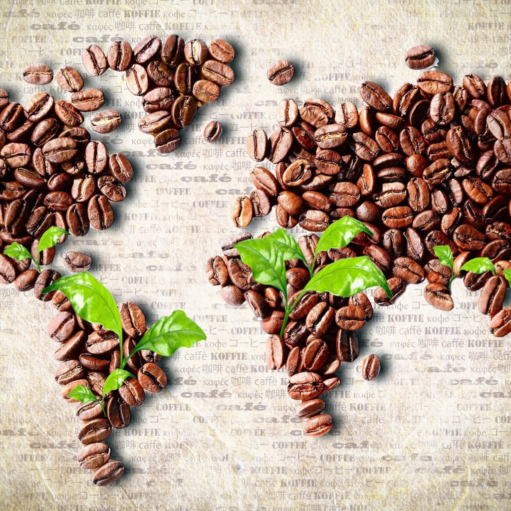 Карта мира из зерен кофе