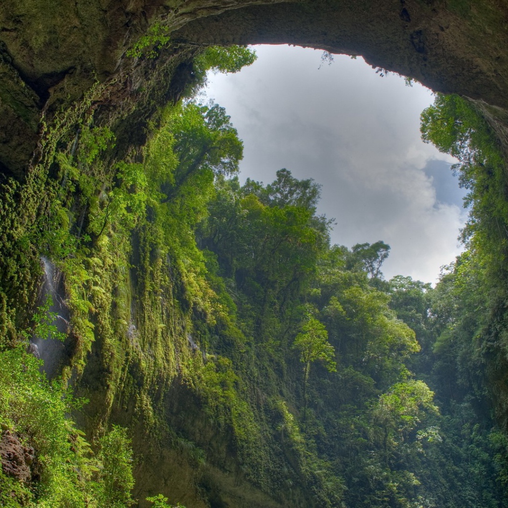 Пещера заросла зеленью изнутри