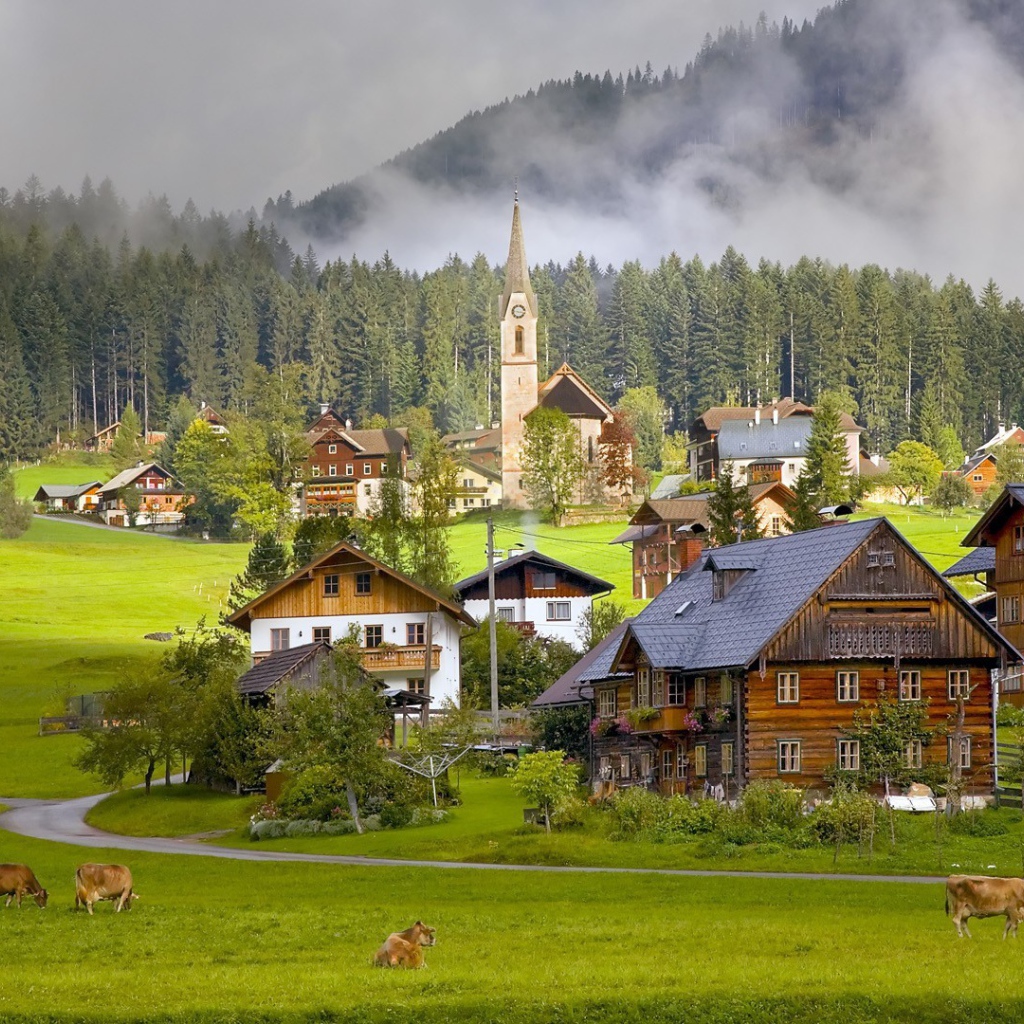 Коровы на пастбище альпийской деревни