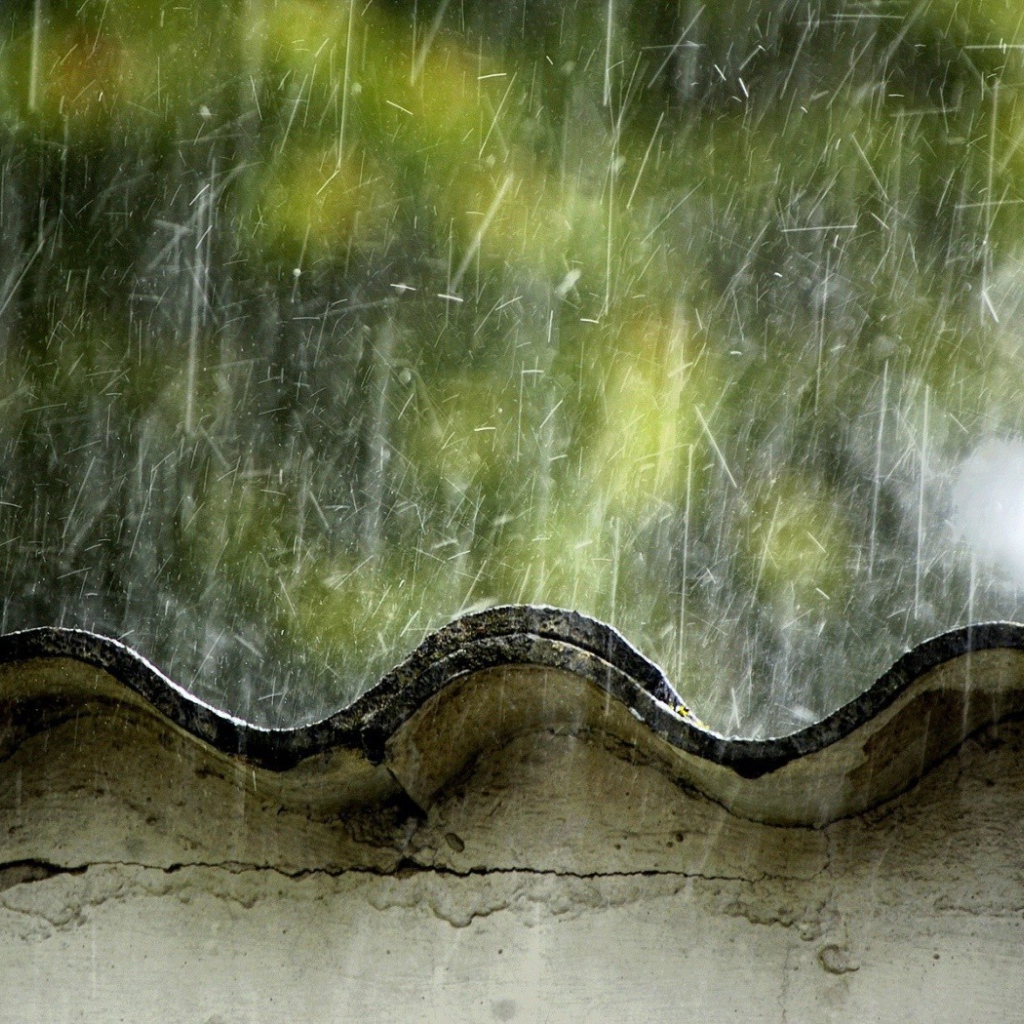 Летний дождь бьет по крыше