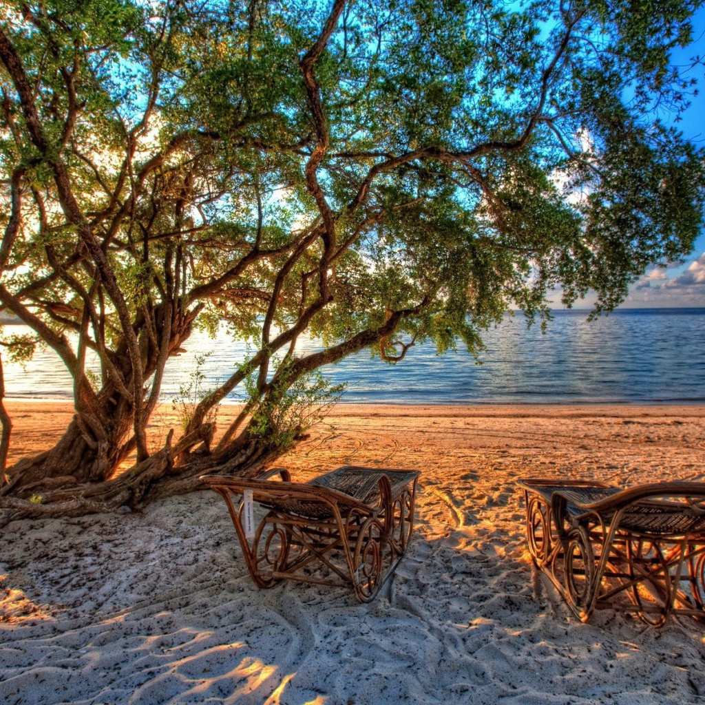 Шезлонги из лозы на пляже под деревом