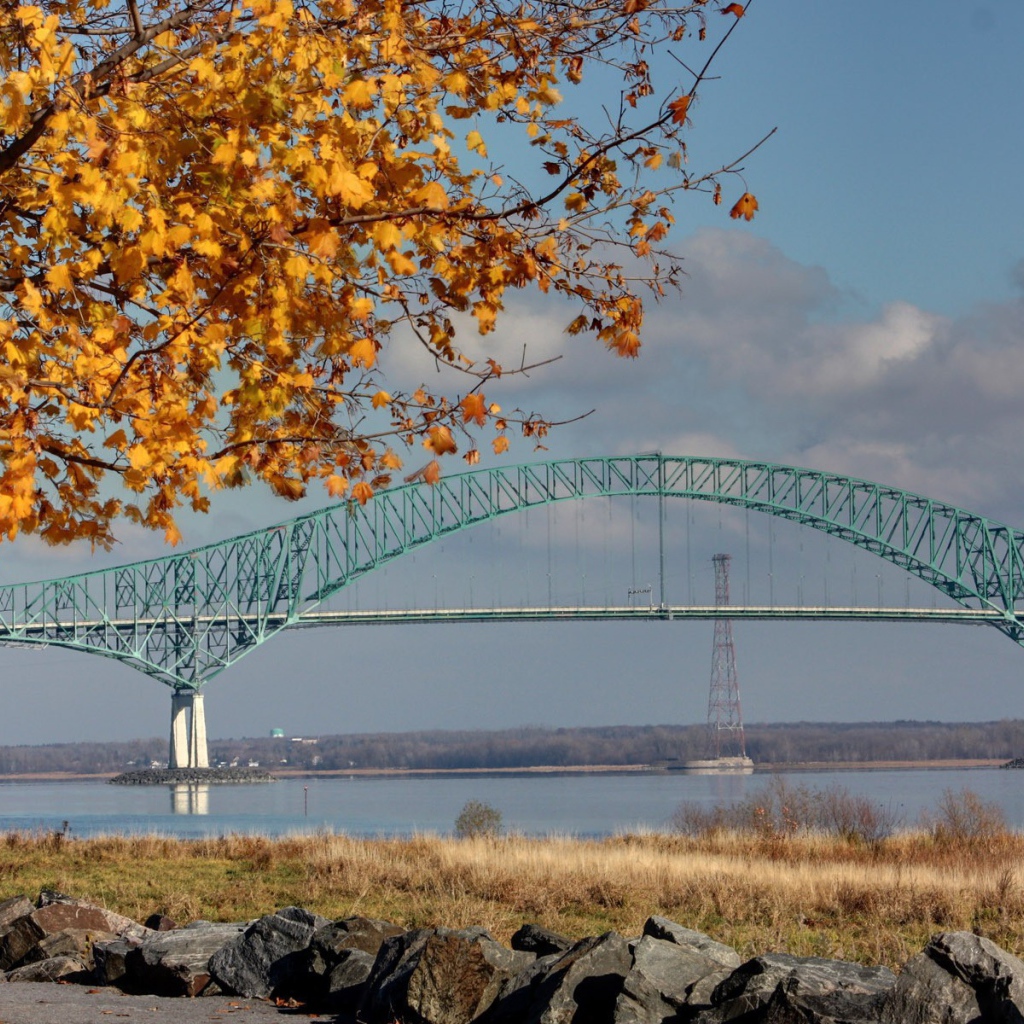 Осеннее дерево на фоне арочного моста