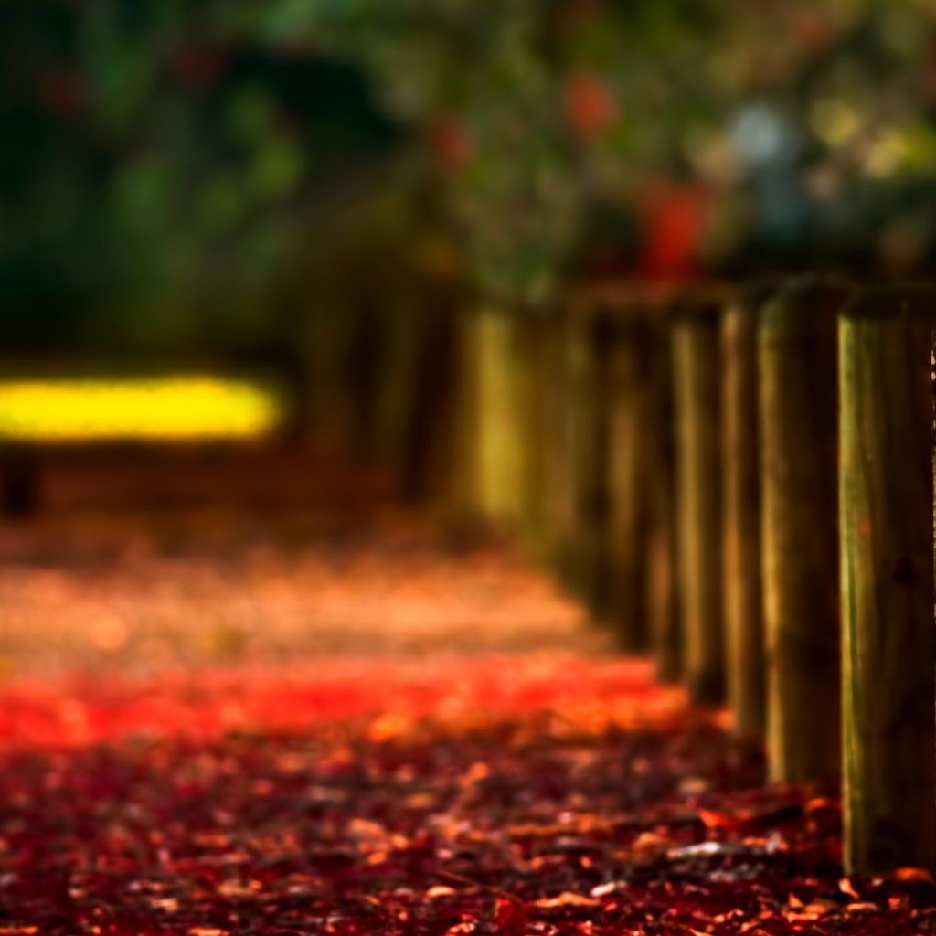 Красная листва на аллее вдоль деревянного забора