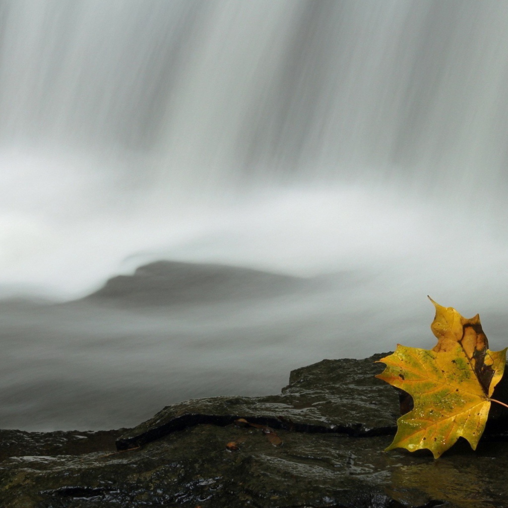 Осенний лист у водопада