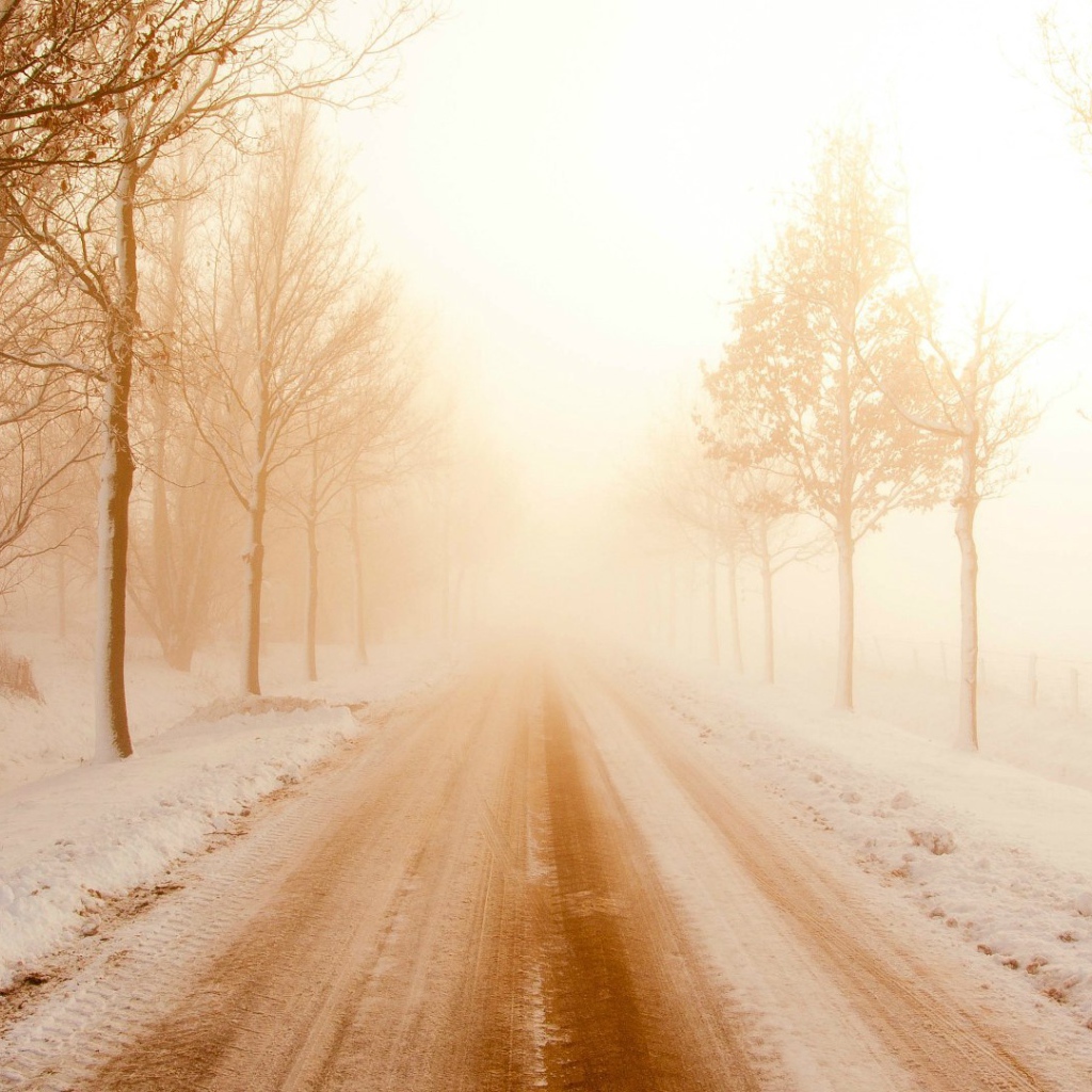 Туман на зимней дороге