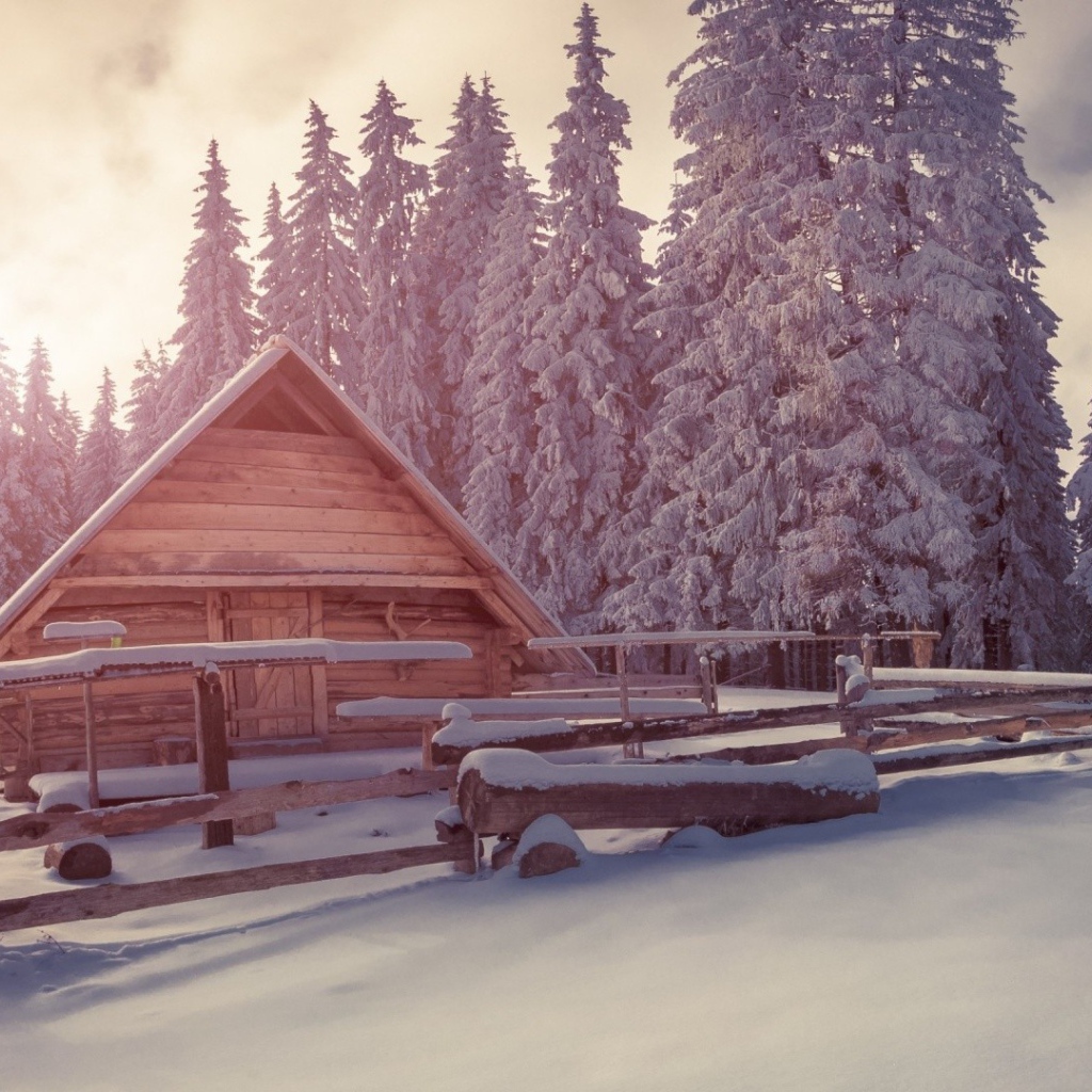 Деревянный дом в зимнем лесу