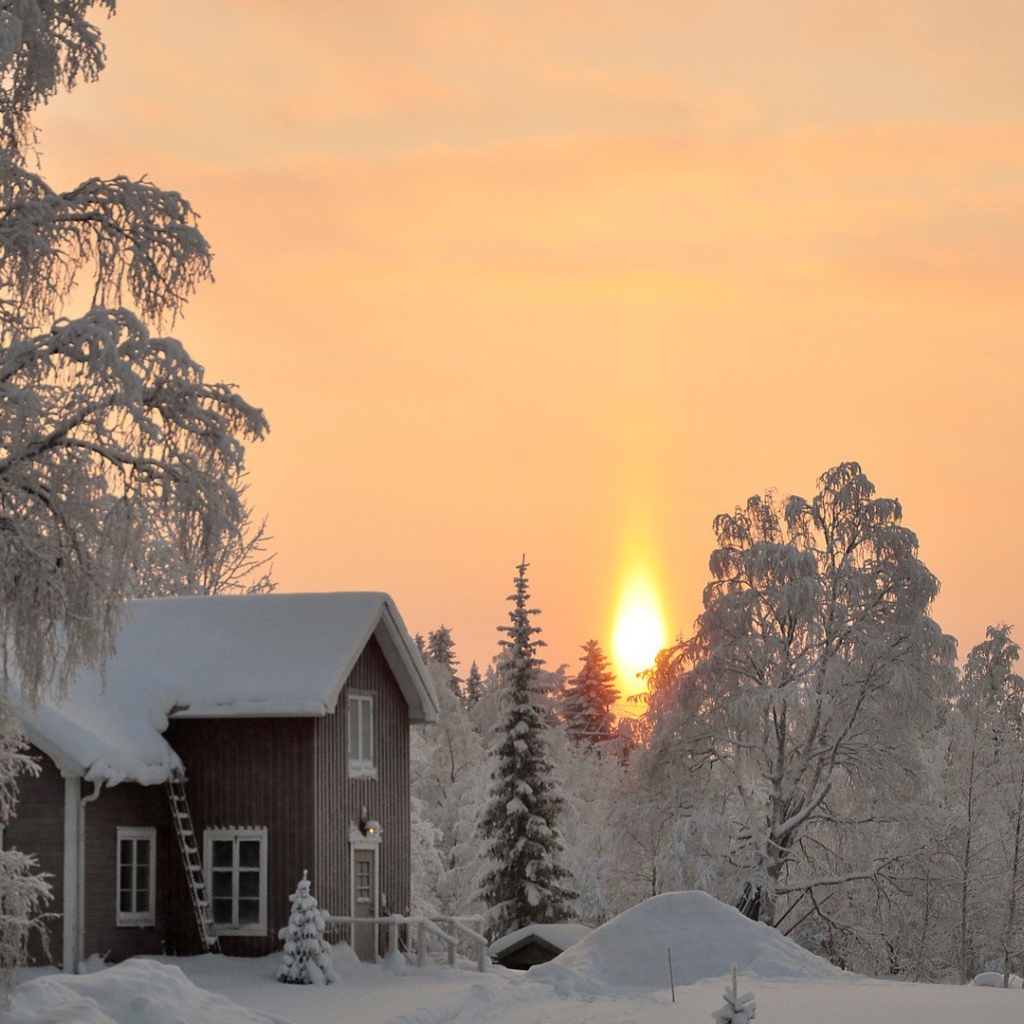 Деревянный дом в зимнем лесу на закате