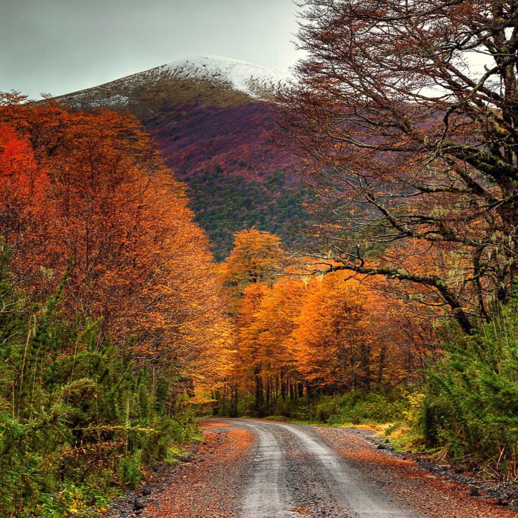 Дорога в осеннем лесу у подножия горы, Чили