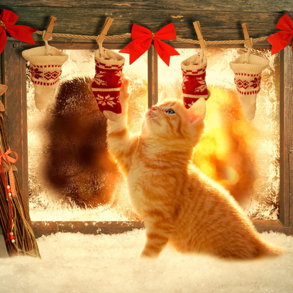 Маленький рыжий котенок играет рождественским декором на окне