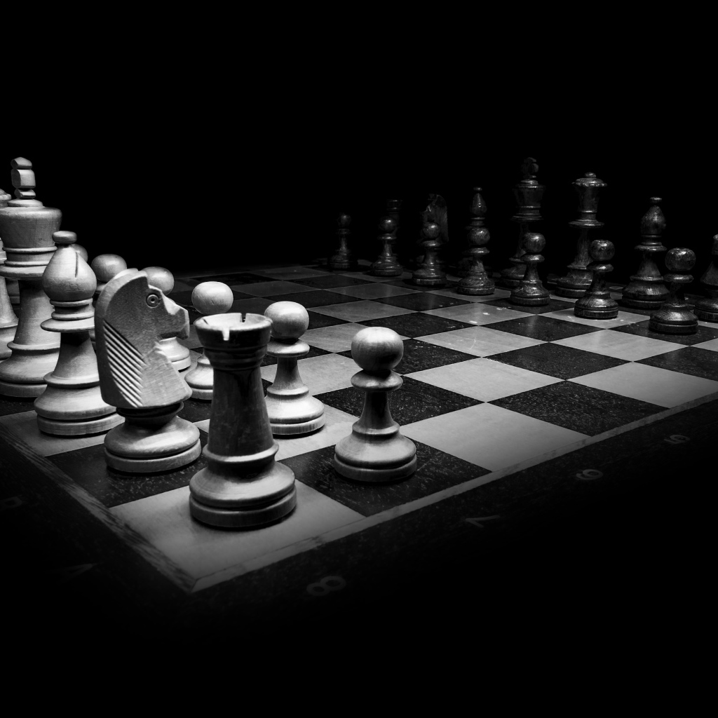 Шахматная доска с фигурами черно-белое фото