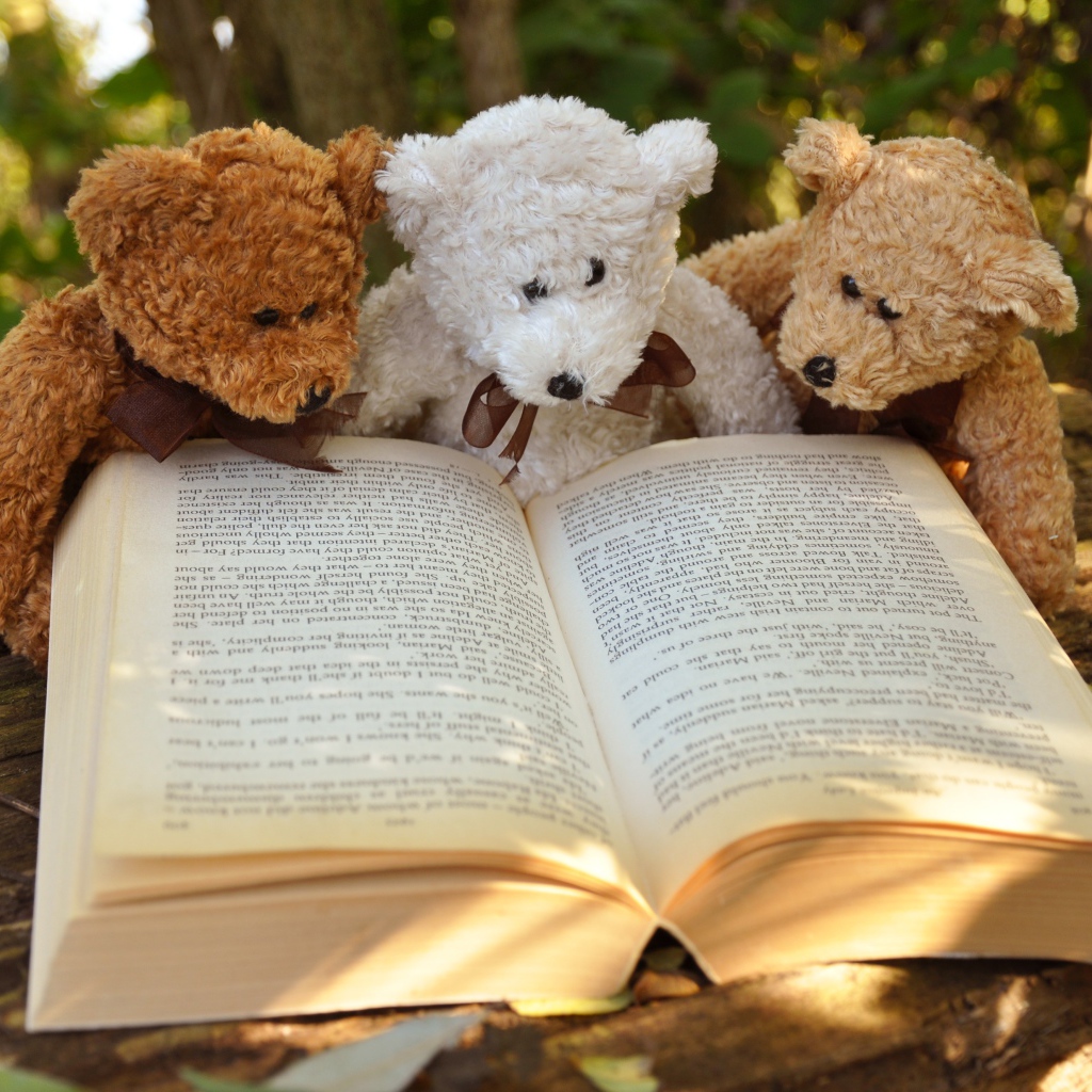 Три медвежонка Тедди читают книгу