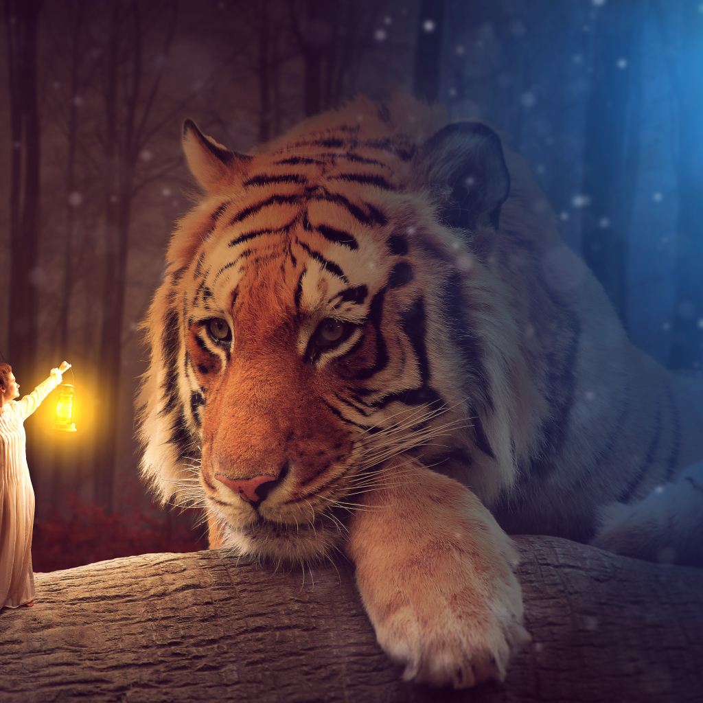 Девушка с фонарем освещает большого тигра