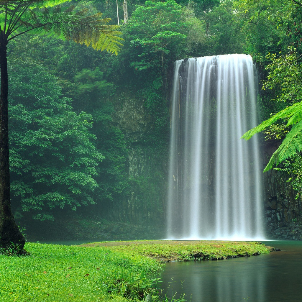 Живописный водопад между зеленых деревьев 