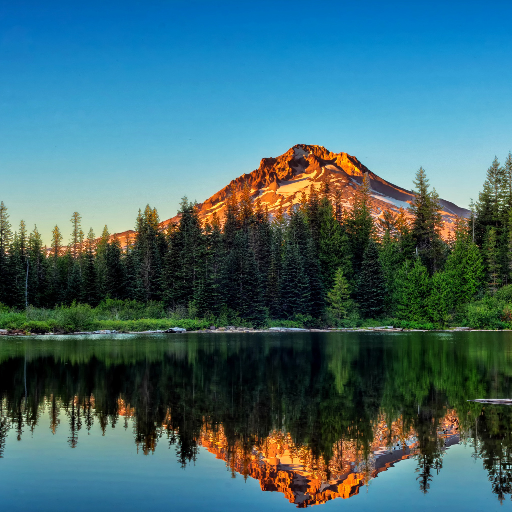 Pine forest and the mountain are reflected in the water, Yosemite National Park. California