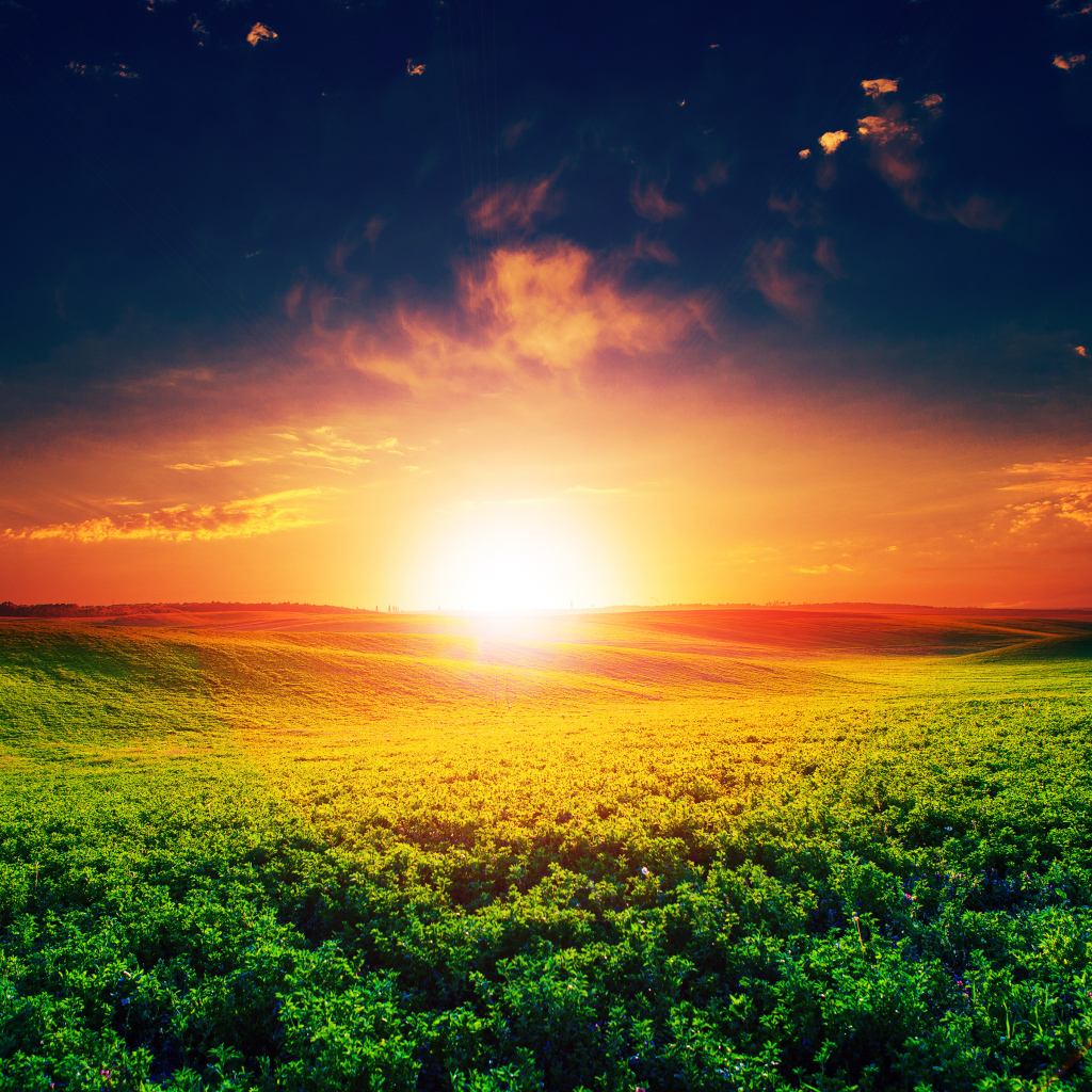 Восход яркого летнего солнца над полем