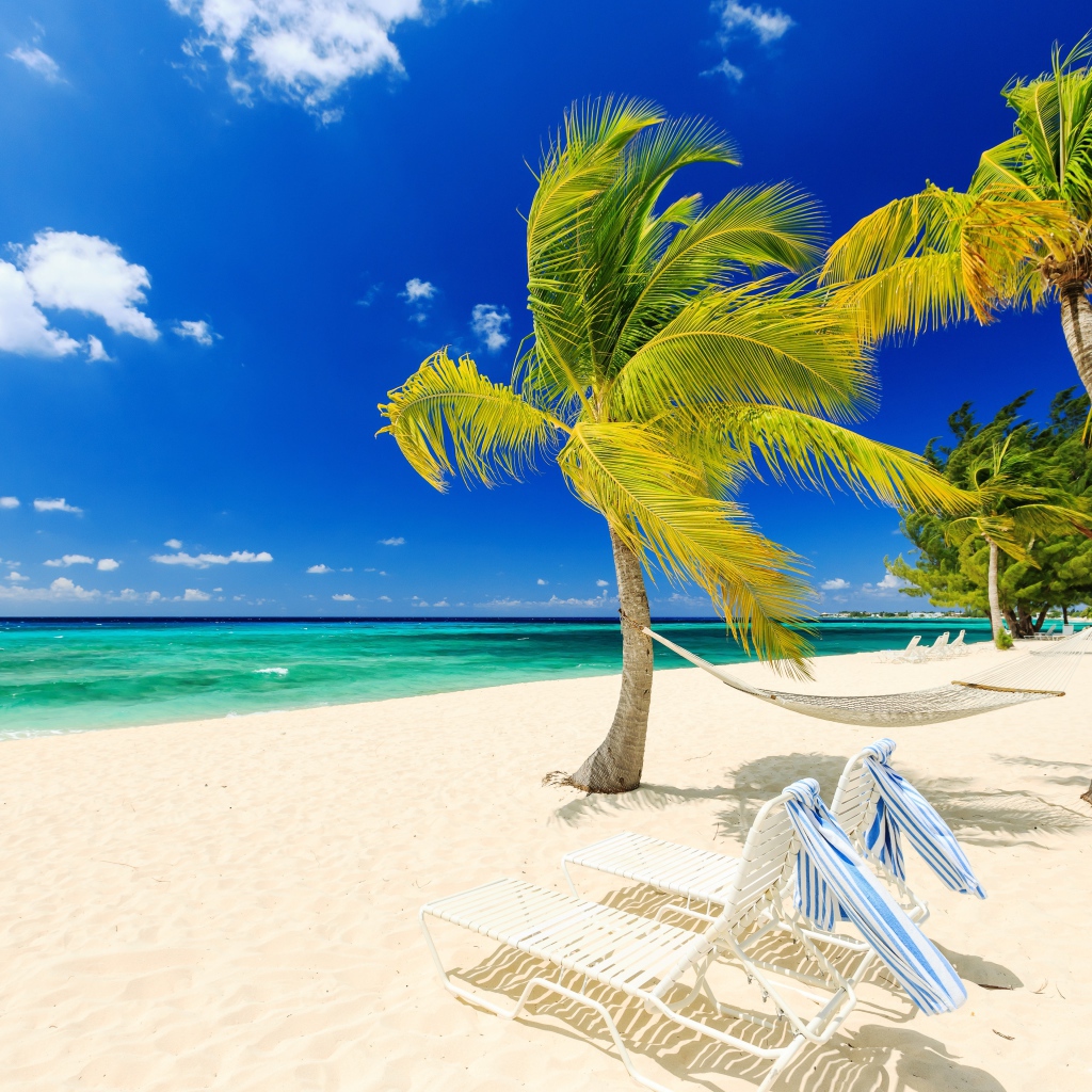 Лежаки и пальмы у моря на пляже с белым песком