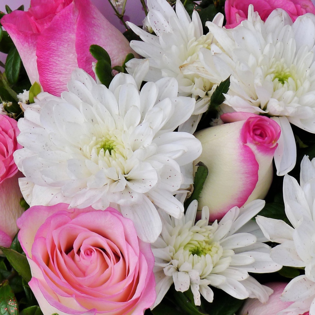 Букет белых хризантем с розовыми розами