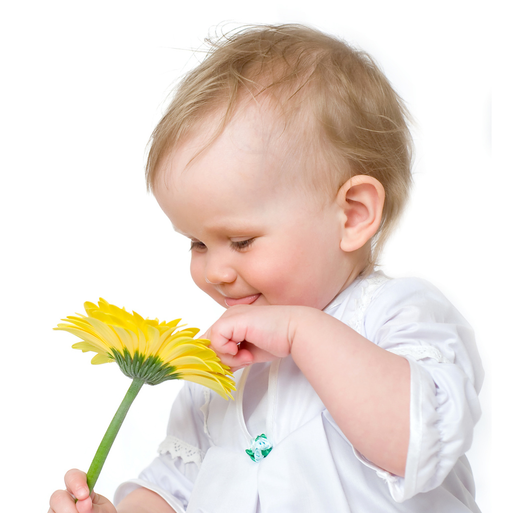Милый грудной ребенок с желтым цветком герберы на белом фоне