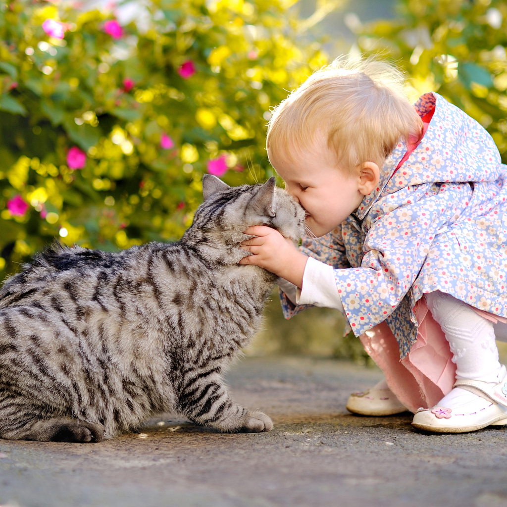 Little girl kisses a gray cat